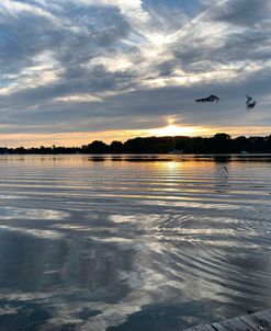 Eastern Shore Sunset