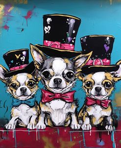 DOGS Elegant Chihuahua Gathering