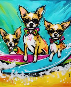 DOGS Surfing Chihuahuas in Style