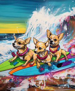 DOGS Chihuahua Surf Party
