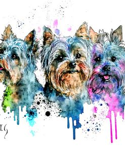 Yorkshire Terriers’ Watercolor Celebration