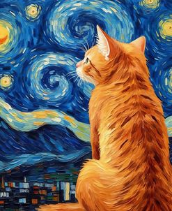 Under Starry Night