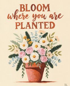 Bloom Where You Are Planted