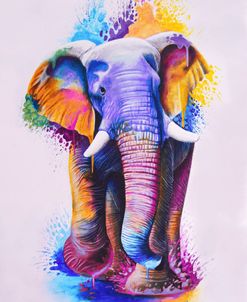 Elephant Splash Colors