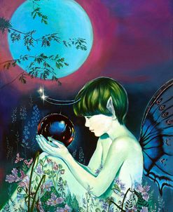 Fairy And The Magic Bubble