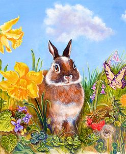 Bunny In Meadow