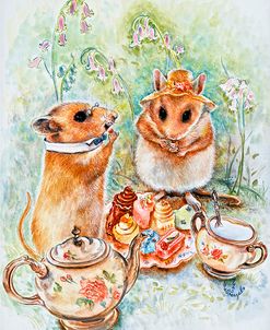 The City Mouse And The Country Mouse