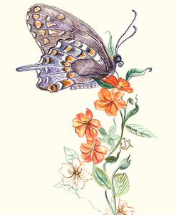 Butterfly Design 1