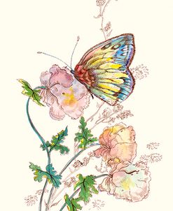 Butterfly Design 2