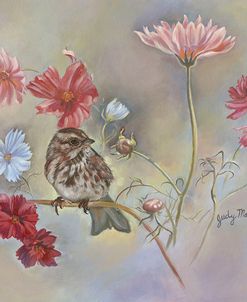Sparrow In Cosmos Flowers