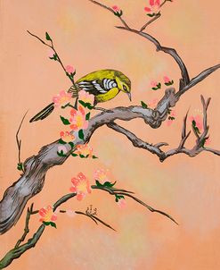 Bird In Cherry Tree