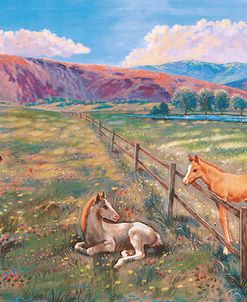 Horses With Fence In Pasture