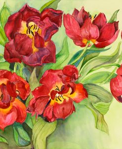 Double Red Tulips