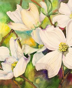 White Dogwood