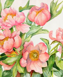 Peony Spray