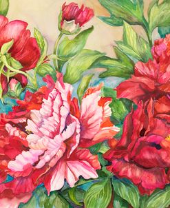 Peonies In Shades of Red