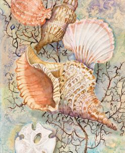 Jewels of the Sea