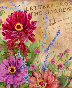 Letters from the Garden I