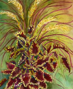 Coleus and Grasses