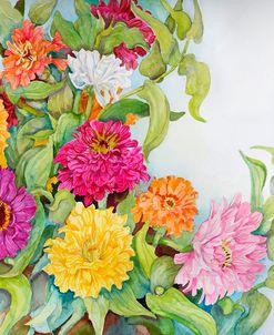 Festively Colored Zinnias