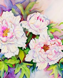 Peonies with Pink Centers