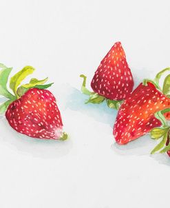 Strawberry Patch – C. Ripe Berries Whole
