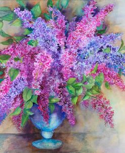 A Varity of Lilacs