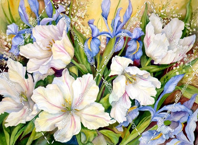 White Tulips/ Blue Iris