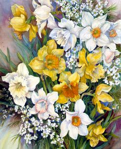 Jonquils