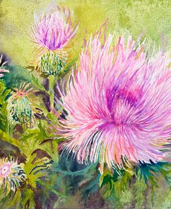Wild Thistles