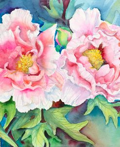 A Pair of Peonies