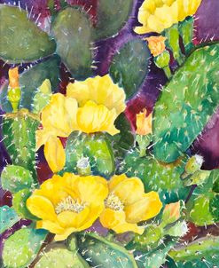 Cactus with Yellow Blooms