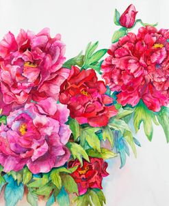 A Study of Red Peonies