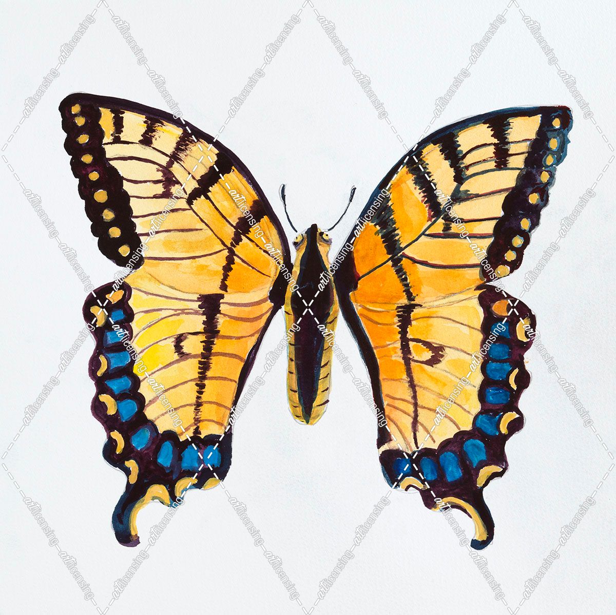 D-Butterfly Collection The Tiger Swallowtail