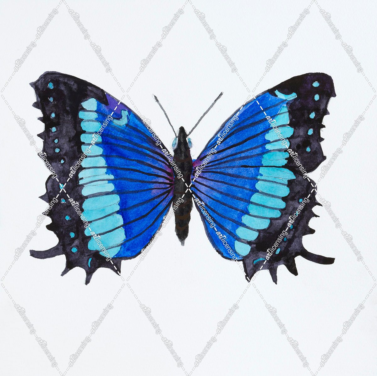 G-Butterfly Collectio Baeotus-Baeotis