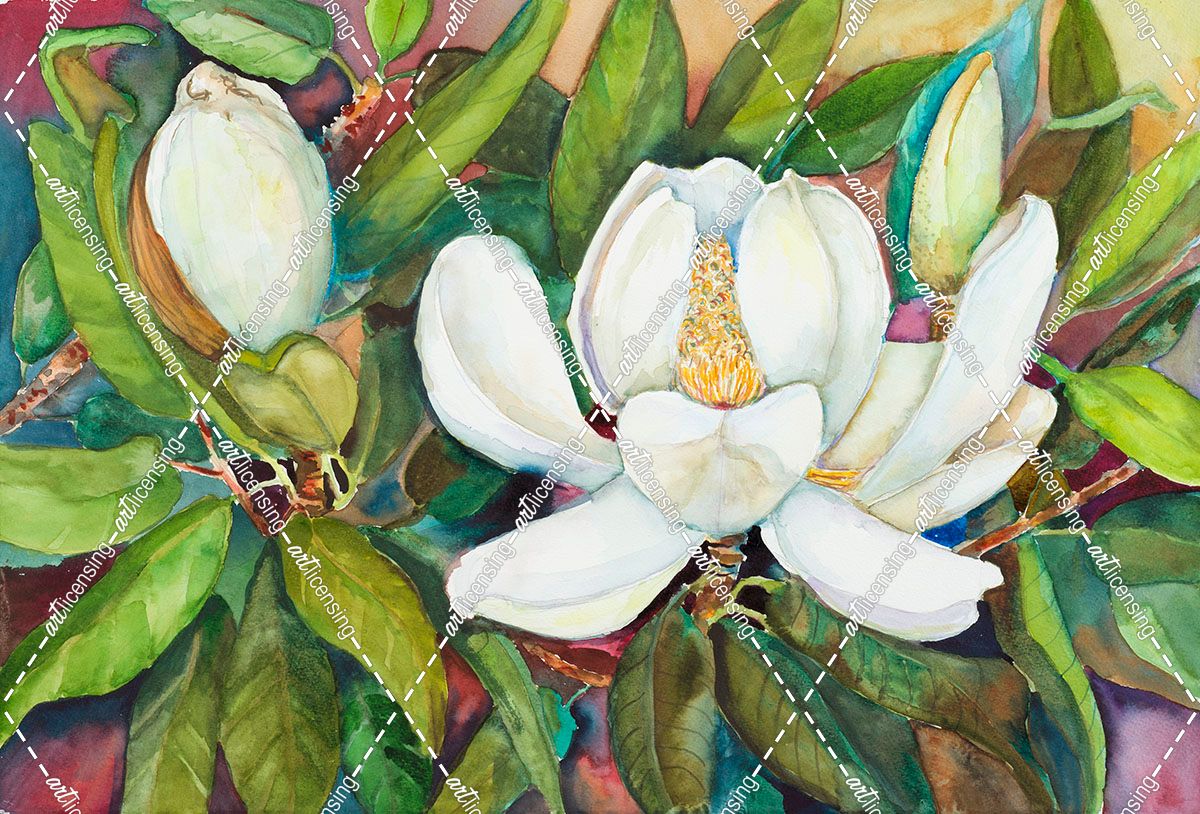 Magnolias in their Prime