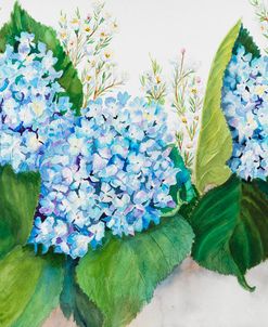 Hydrangea and Wax Flower