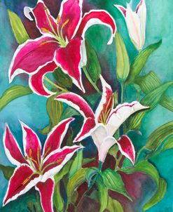 Red and White Lilies