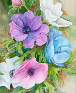 Pastel Anemones