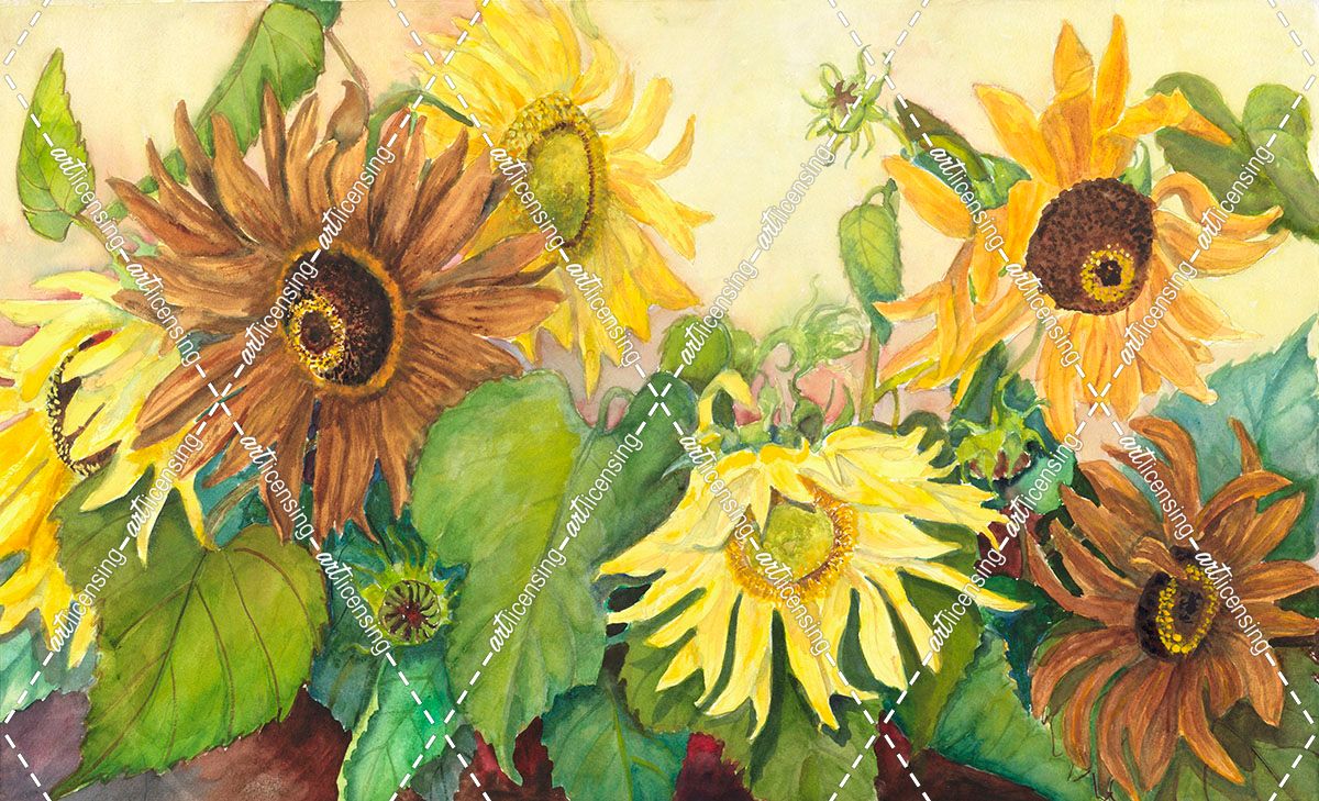 Brown and Gold Sunflowers