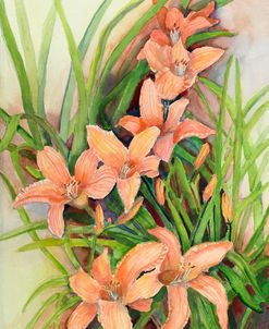 A Cluster of Lilies