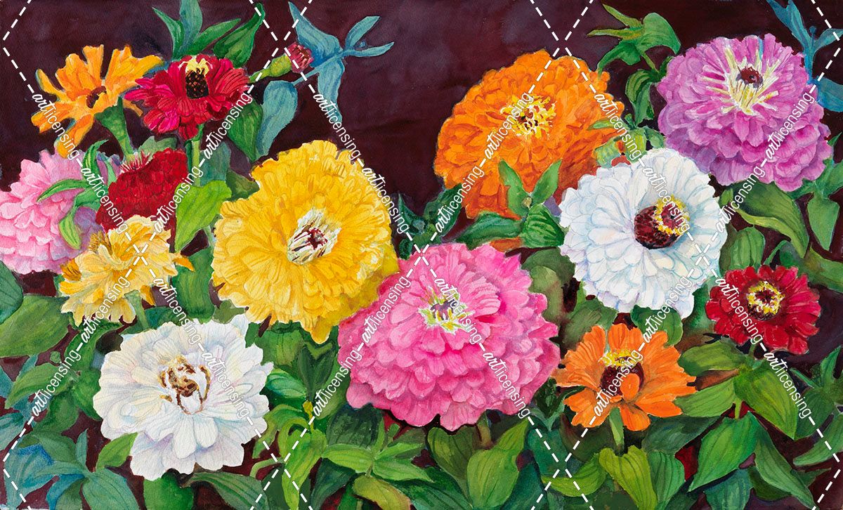 Zinnias in Many Colors
