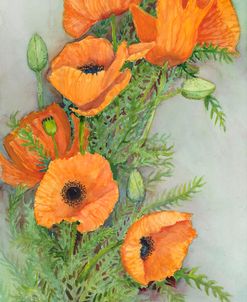 Poppies with Buds