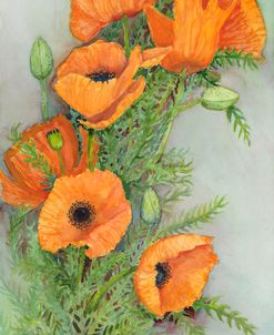 Poppies with Buds