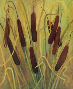 Cat Tails