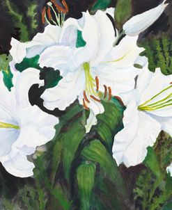 Lilies with Ferns