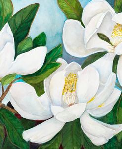 Branch of Magnolias