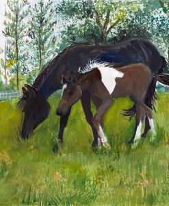 Horses in a Pasture