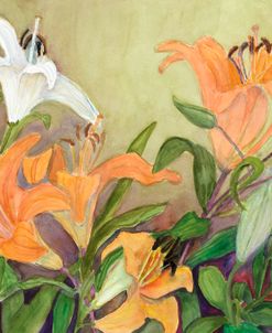 White and Orange Lilies