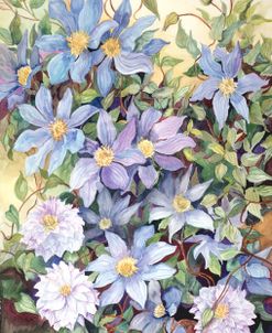 Blue Clematis